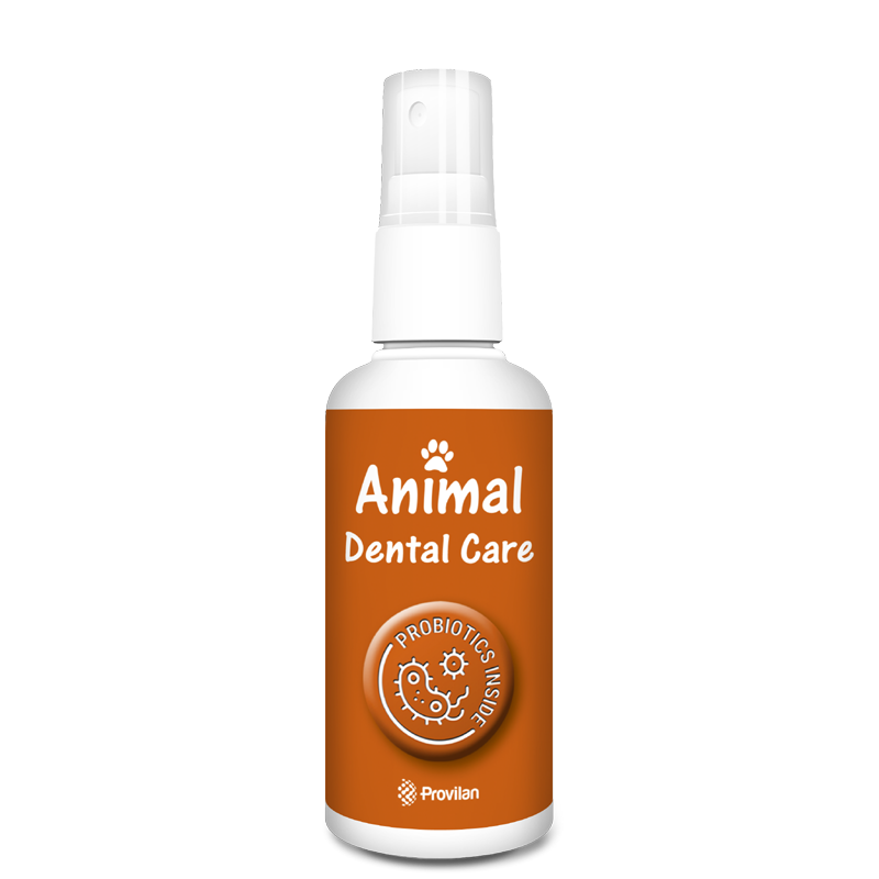 4270003513623 | Animal Dental Care